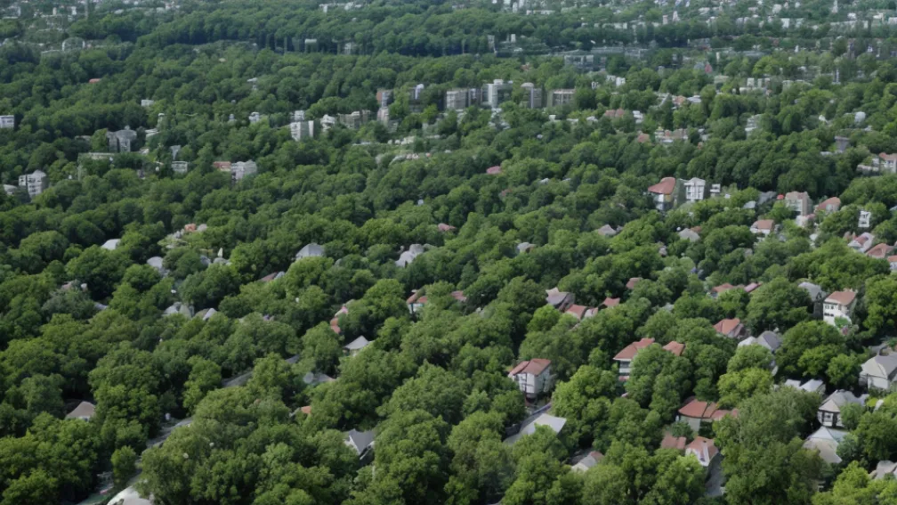 Житловий бум в Мадриді: район Тетуан задихається від новобудов та браку зелені