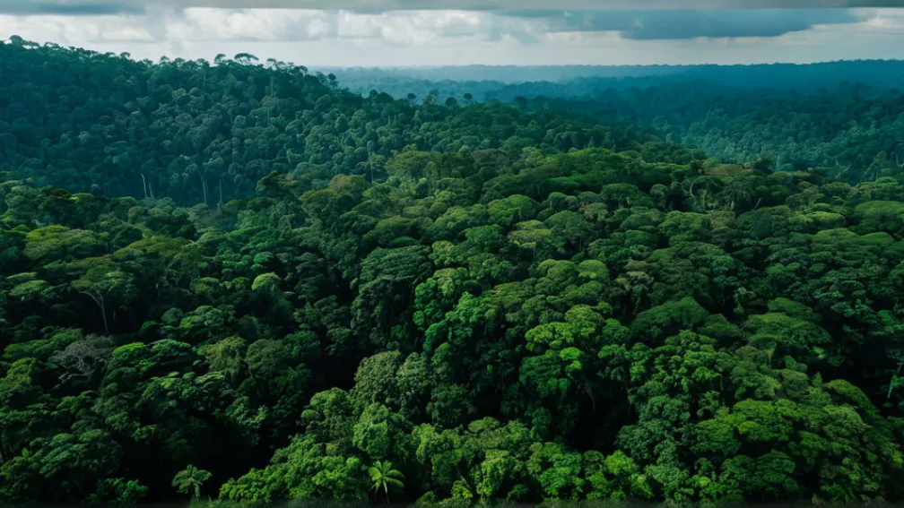 Кліматичний Саміт COP30 у Белені: Заклик до Глобальної Боротьби та Протистояння Заперечувачам Змін Клімату