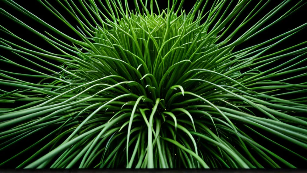 Етичний капіталізм: Маркус Габріель про прибутковість добра в бізнесі.