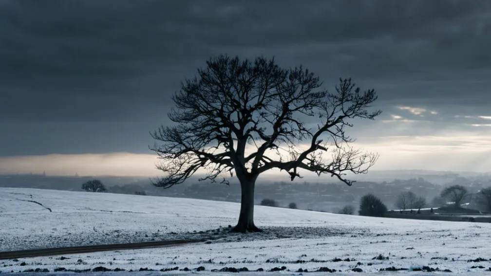 Нова стрічка Давида Труеби «Siempre es invierno» отримала схвальні відгуки критиків