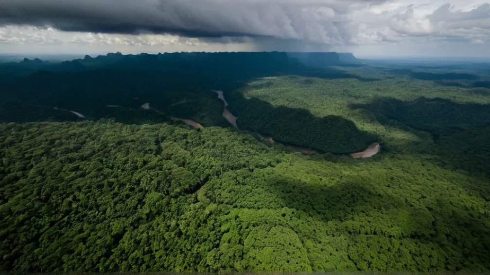 Затримано "Піпо": Найрозшукуванішого наркобарона Еквадору спіймали за допомогою іспанської поліції