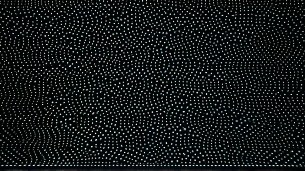 «Все, що я зробила за гроші»: Книга Віолети Ньєбли про нестабільну кар’єру покоління