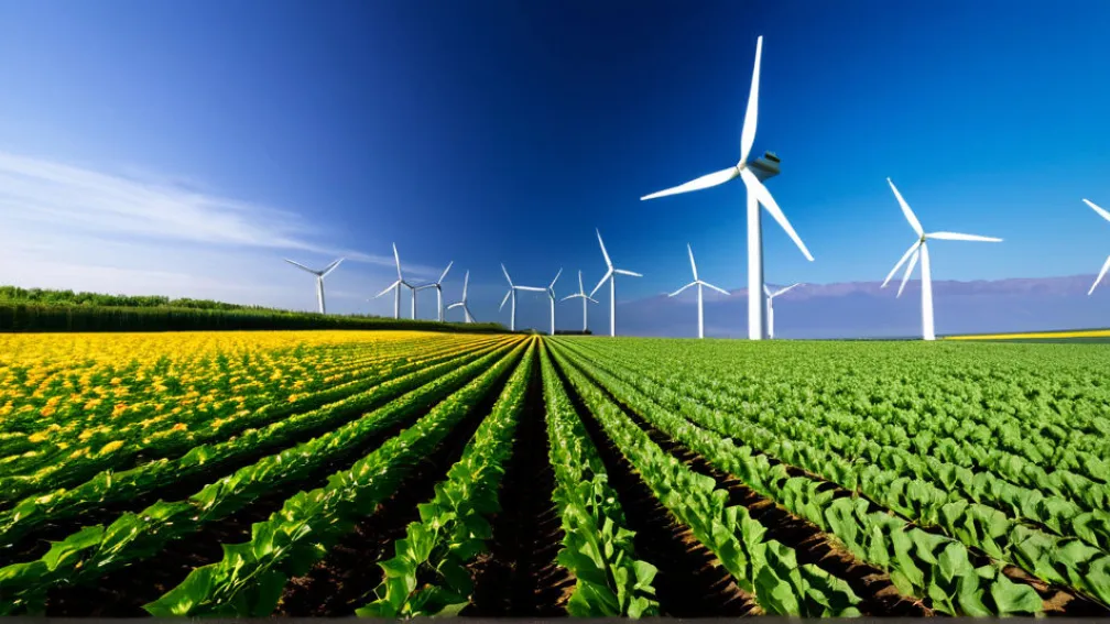 Інновації у сфері відновлюваної енергетики