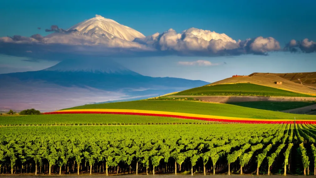 Відносини між Вірменією та Азербайджаном: перспективи та виклики