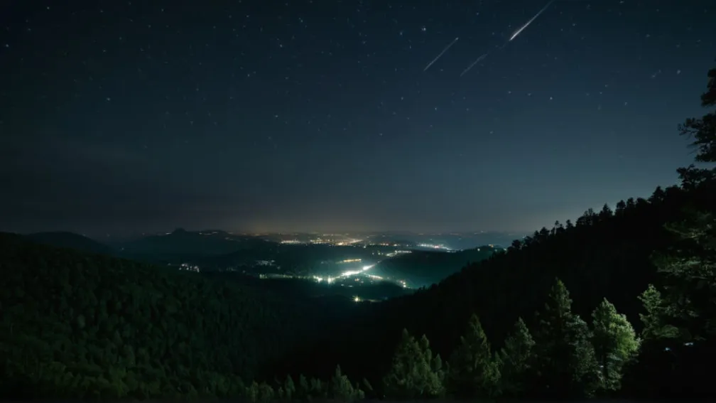 Маніфест Темряви: Як світлове забруднення загрожує нічному життю планети