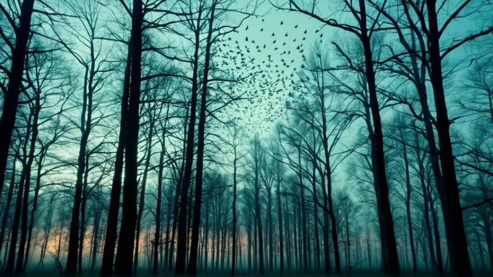 Співочі шпаки та денацифікація: Новий роман Жан-Іва Жуанне досліджує моральні дилеми