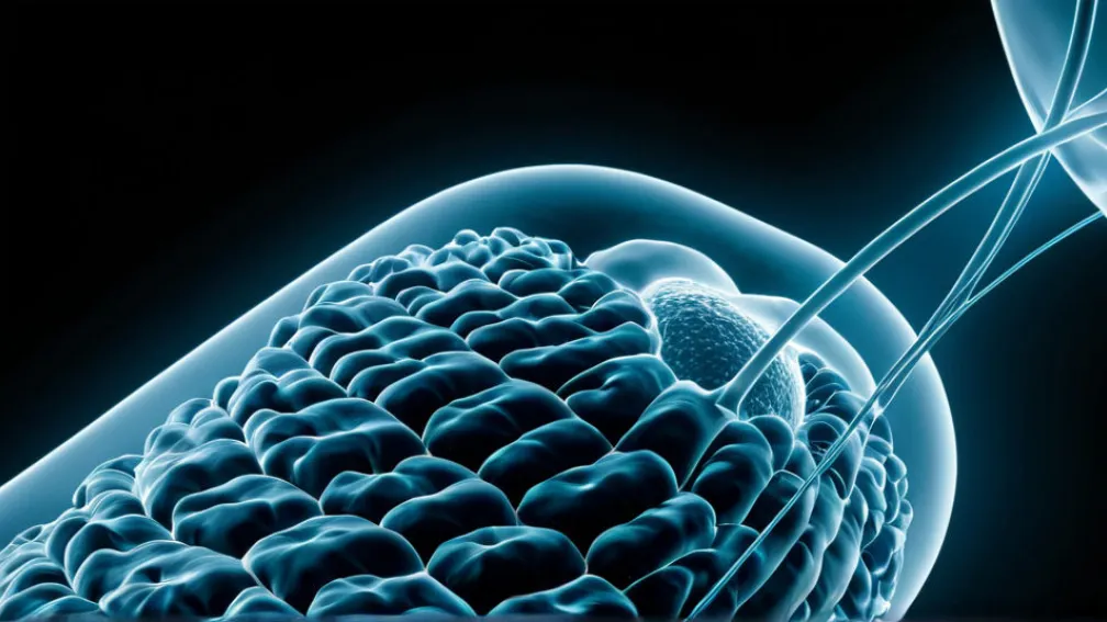 Daiichi Sankyo: Наукові інновації та сталий розвиток як основа медичного прогресу