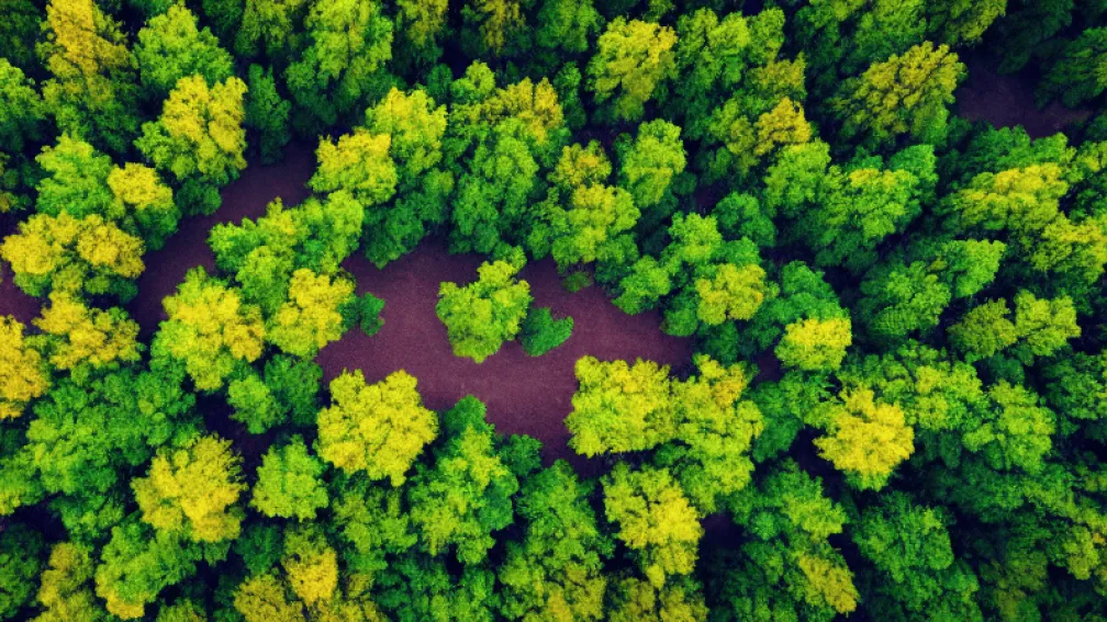 Naturgy: Taqa повертається та викуп акцій – ключові моменти