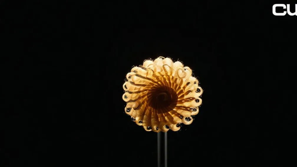 Оптимальний спосіб прохождення за програмою 'curly' та вибору відповідного стилізатора для волос