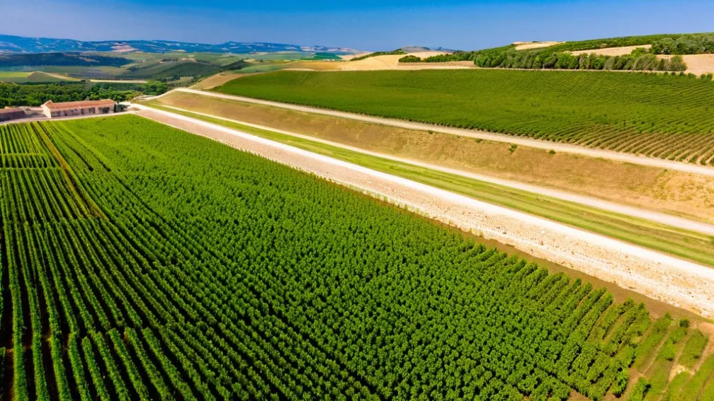 Останні значні місця для відвідування у провінції Цідьодей Реал, Іспанія