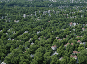 Житловий бум в Мадриді: район Тетуан задихається від новобудов та браку зелені