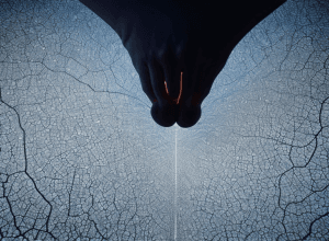 Санчес готує перестановки в PSOE на тлі скандалу: боротьба за владу триває