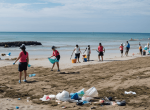 Волонтери прибрали пляж Барселонета: зібрано 90 кг сміття