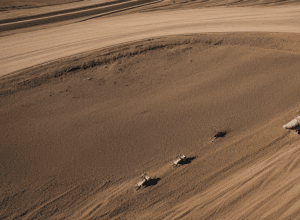 Росія розпочала військові навчання біля кордонів Польщі та погрожує Данії через підтримку України