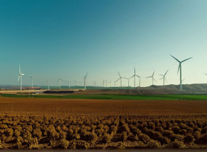 Мексика та COP30: Нові Кліматичні Амбіції на тлі Минулих Невдач