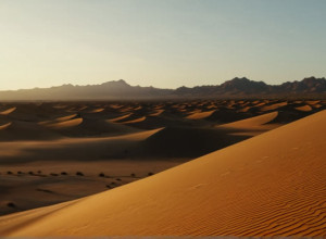 Війна за Золоту Шахту в Мексиці: Картелі, Корупція та Особиста Місія