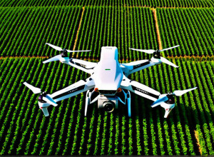 Історія успіху: Як стартап змінив сільське господарство