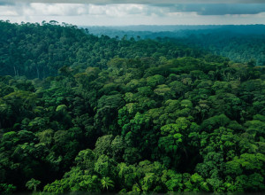 Кліматичний Саміт COP30 у Белені: Заклик до Глобальної Боротьби та Протистояння Заперечувачам Змін Клімату