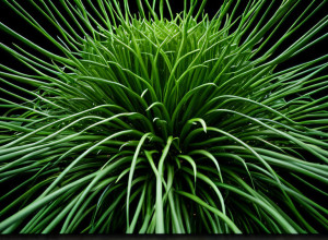 Етичний капіталізм: Маркус Габріель про прибутковість добра в бізнесі.