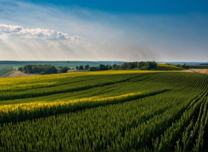 Історія України