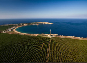 Визнання Криму російською територією