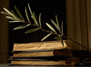 Президент Колумбії Петро Призначає Нового Міністра Юстиції, Намагаючись Знизити Напругу з Судами