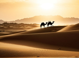 Верблюжа бригада Мавританії: На варті Сахари проти джихадистів