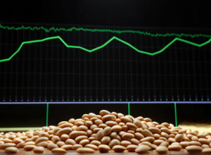 Виробники продуктів харчування в Іспанії: доходи зростають, але маржа падає після інфляційного шоку