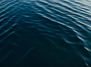 Японія та Китай: Перша геополітична криза нової прем'єр-міністерки Санае Такаїчі через Тайвань