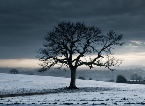 Нова стрічка Давида Труеби «Siempre es invierno» отримала схвальні відгуки критиків