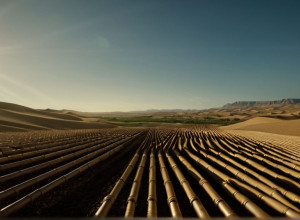 Вибори в Чилі: Праворуч чи Тимчасові Зміни?