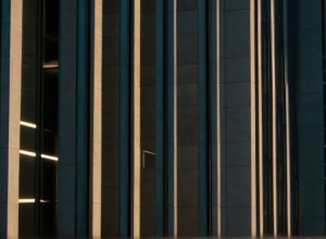 Держава та злочинність: Еволюція відносин та загроза захоплення влади