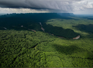 Затримано &quot;Піпо&quot;: Найрозшукуванішого наркобарона Еквадору спіймали за допомогою іспанської поліції