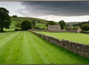 «Всі істоти великі й малі»: вихід 6 сезону популярного британського серіалу та інші серіальні прем'єри