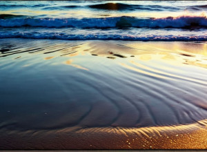 Есе Ноелії Рамірес: Дослідження ідентичності, втрати та пошуку голосу в "Мене тут ніхто не чекав"