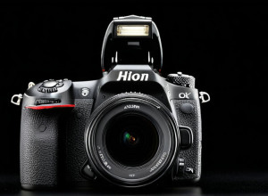 Шимпанзе воюють за виживання потомства: відкриття вчених про еволюцію