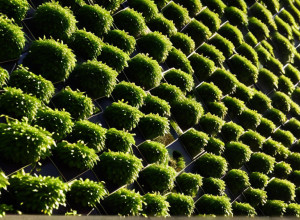 Барселона трансформує міські стіни: міжнародний архітектурний конкурс