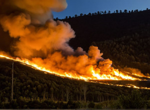 Чоловіка засуджено до восьми років ув'язнення в Астурії за підпали, що становили загрозу для життя