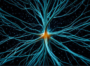 Ірраціональність вибору: Як "ефект приманки" та алгоритми формують наші вподобання