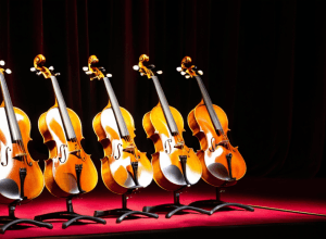 Три струнні квартети виступлять на концерті циклу Da Camera у Мадриді