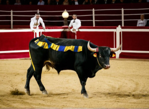 Церемонія вручення премій кориди в Казино де Мадрид: відсутність Моранте де ла Пуебла