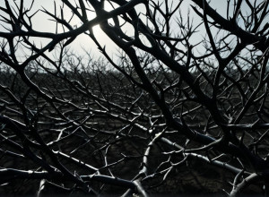 Феміністичний Рух в Іспанії: Від Збоїв у Браслетах до Заперечення Насильства напередодні 25-N