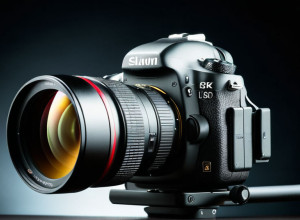 Приклад статті українською