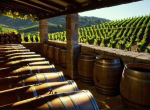 Нурія Реном: Історія Виноробки, Що Створює Натуральні Вина з Повагою та Послідовністю в Альт-Пенедес