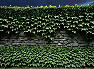 Подкаст Давида Уклеса "Чотири рани" досліджує Громадянську війну в Іспанії та її сучасні відлуння