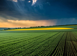 Історія України