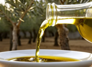 Іспанські фермери вимагають призупинити безмитний імпорт туніської оливкової олії