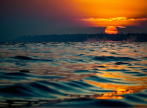 Глобальне потепління та його наслідки