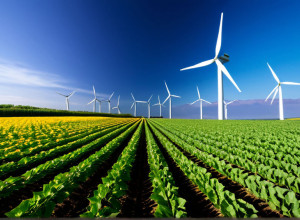 Інновації у сфері відновлюваної енергетики