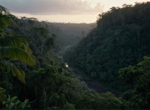 У Колумбії підтверджено загибель шістьох дітей під час військового бомбардування в Гуавіарі